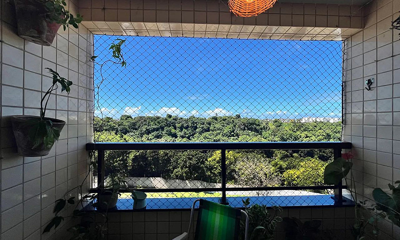 Apartamento Para Alu...