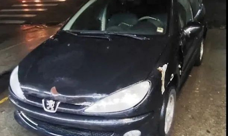 Peugeot 206 Sw Felin...