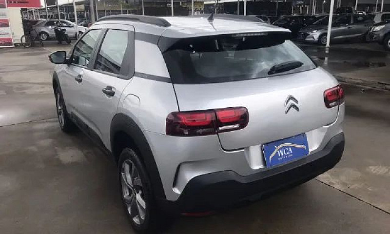 C4 Cactus...