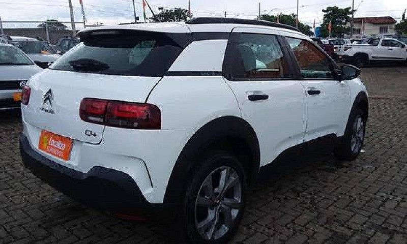 C4 Cactus 2021/2022 ...