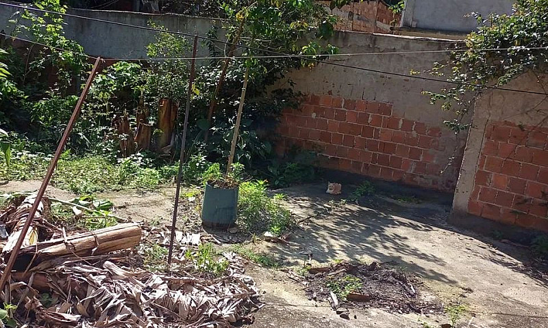 Casa Em Beira-Rio - ...