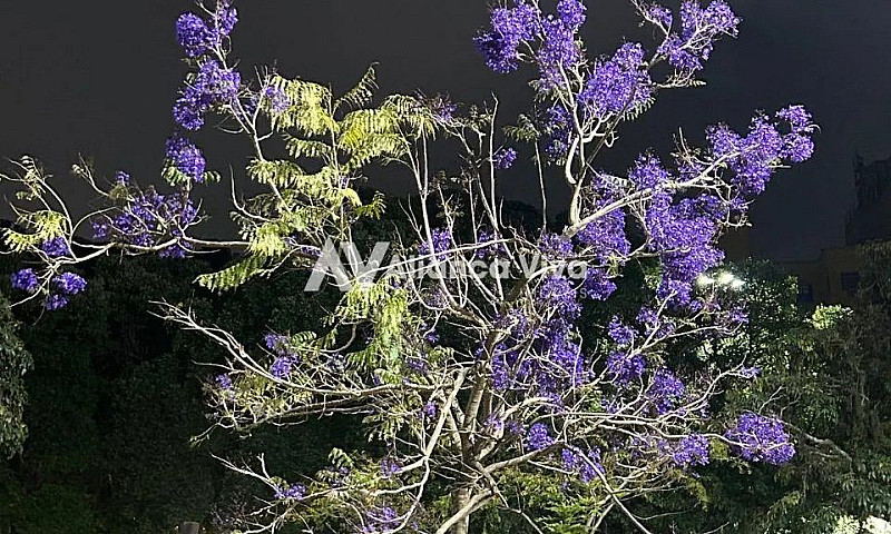 Botafogo | Apartamen...