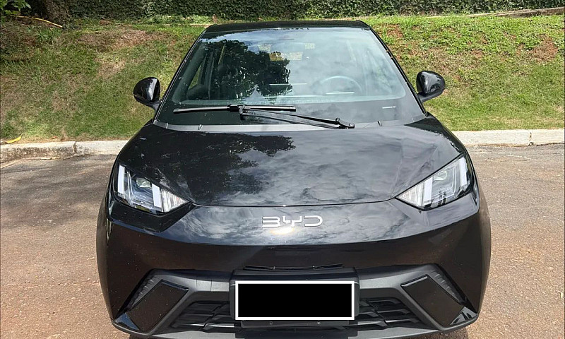 Byd Dolphin Mini (El...