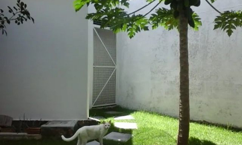 Hr- Vendo Casa Poço ...