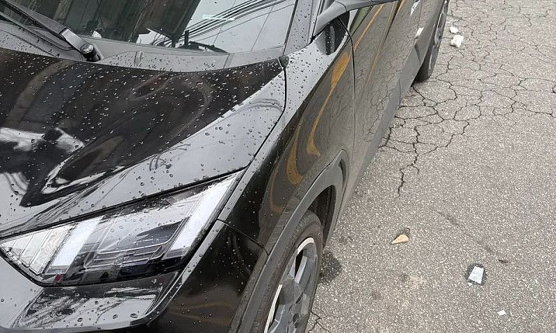 Byd Dolphin Mini (El...