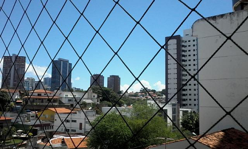 2/4 Caminho Das Árvo...