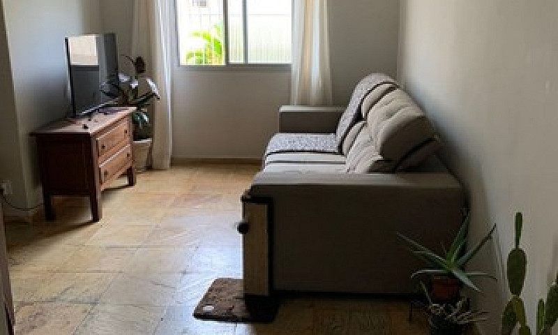 Dividir Apartamento ...