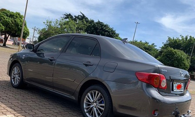 Corolla Gli Automáti...