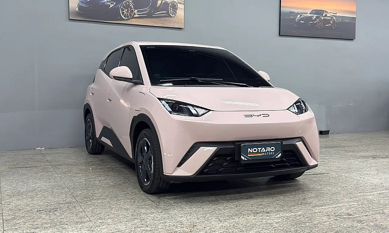 Byd Dolphin Mini (El...
