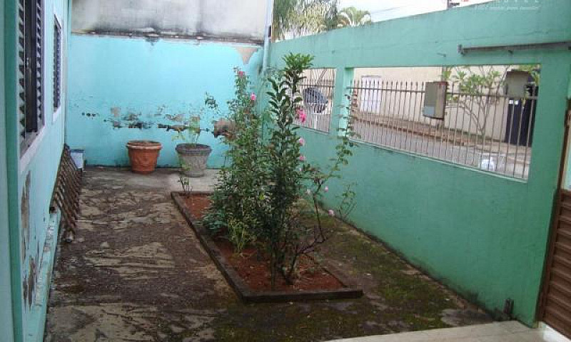 Casa Com 3 Dormitóri...