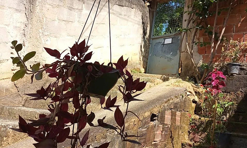 Casa Em Beira-Rio - ...