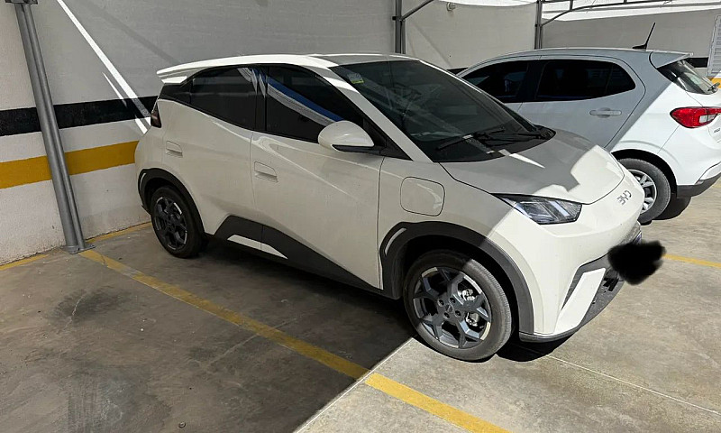 Byd Dolphin Mini (El...