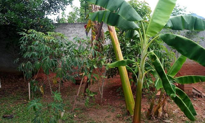 Vendo Ou Troco Casa ...