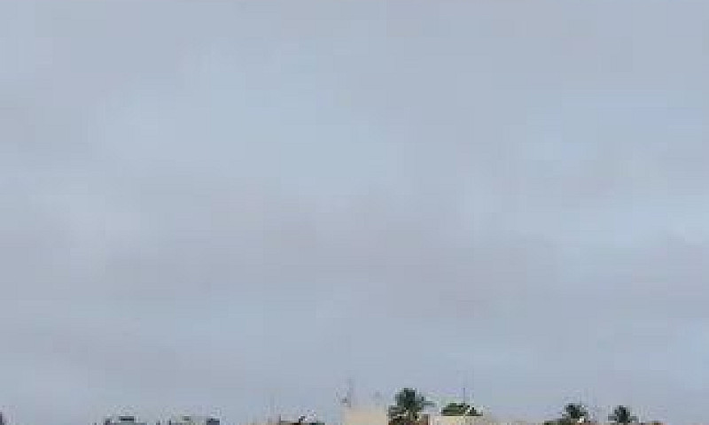 Estrela Do Mar #...