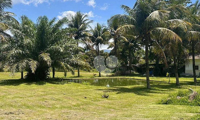 Casa Com 5 Dormitóri...