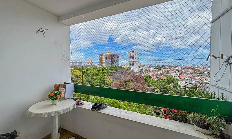 Oportunidade Em Brot...