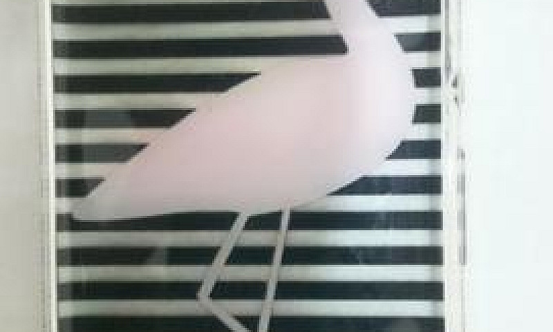 Capa Transparente Pe...