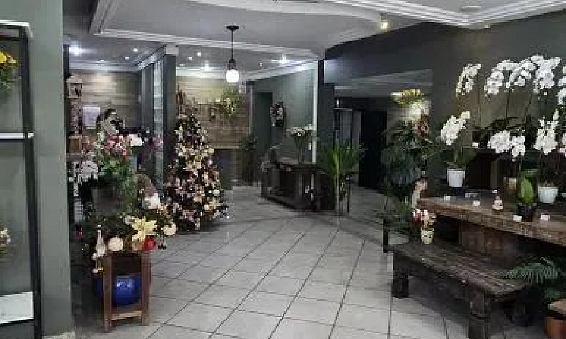 Casa Para Aluguel Co...