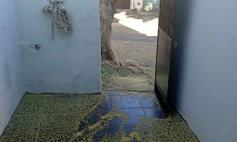 Aluga-Se Casa Campo ...