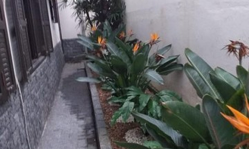 Casa No Guanabara Co...
