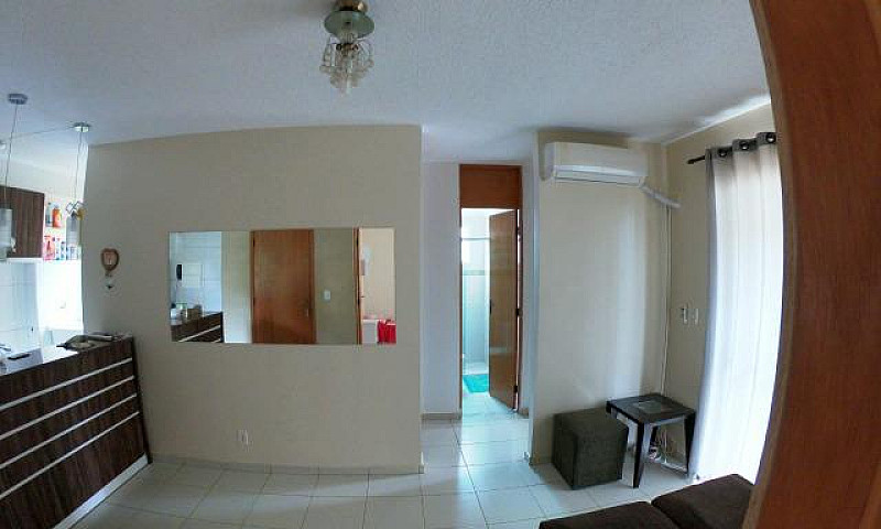Paradiso Girassol - ...
