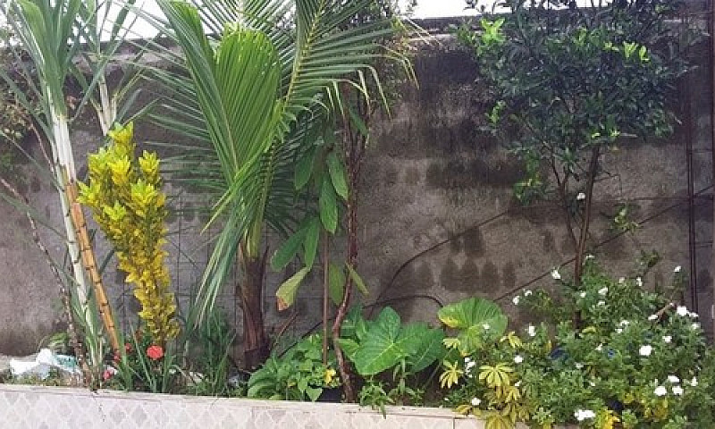 Casa A Venda Em Caju...