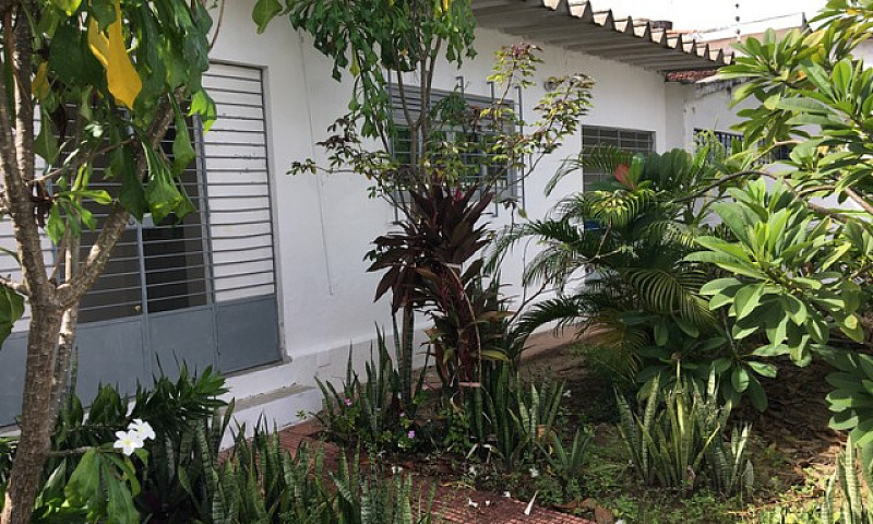 Madalena - Casa Para...