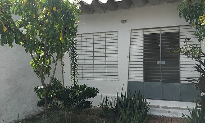 Madalena - Casa Para...