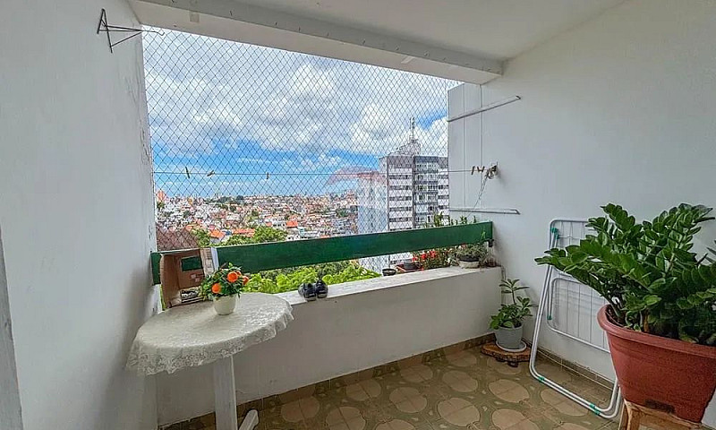 Oportunidade Em Brot...