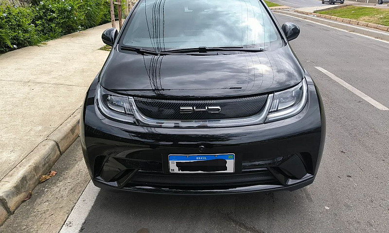 Byd Dolphin Ev (Elét...
