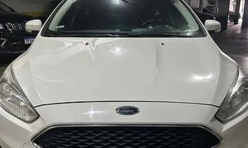 Focus Hatch Em Perfe...