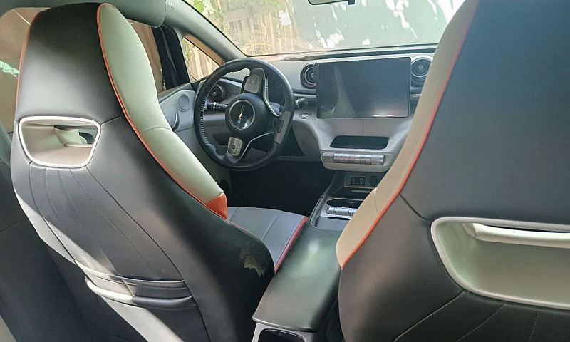 Byd Dolphin Ev (Elét...