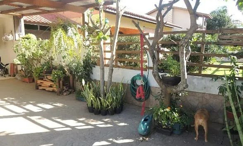 Casa Para Locação An...