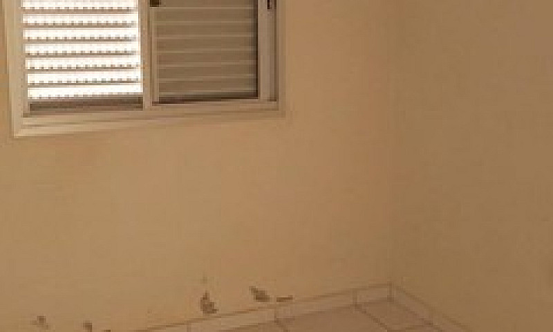 Apartamento Novo...