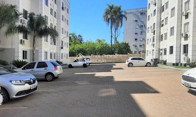 Novo Hamburgo - Padr...