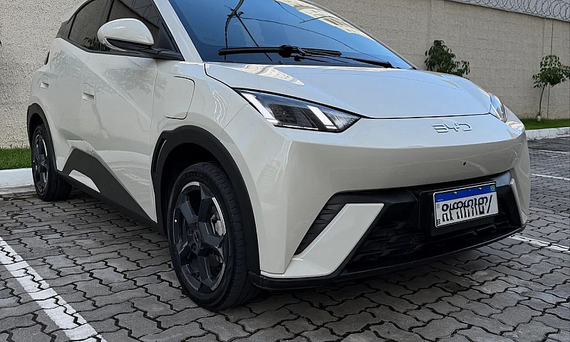 Byd Dolphin Mini (El...