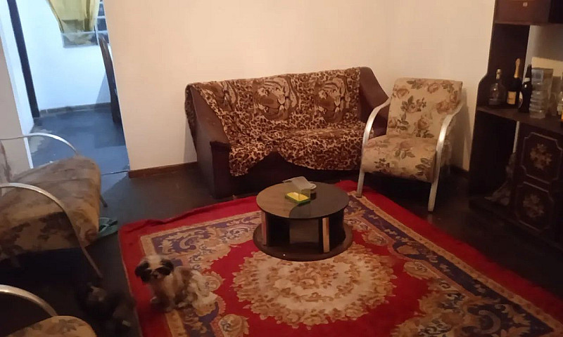 Casa Para Alugar ...