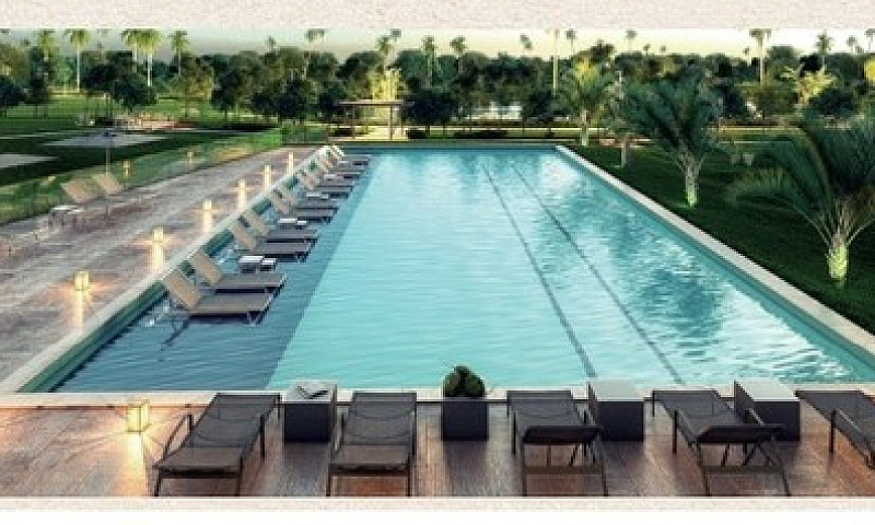 An Reserva Do Paiva ...