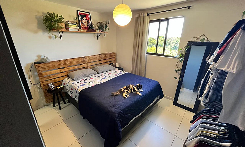 Apartamento Para Alu...