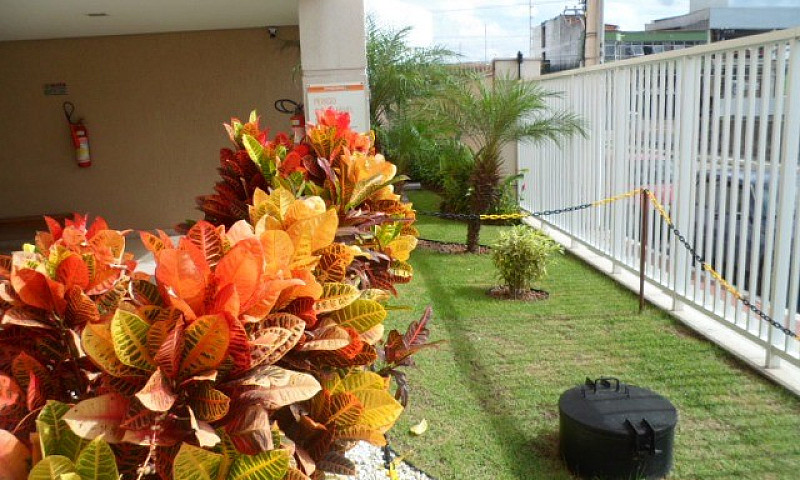 Apartamento 02 Quart...