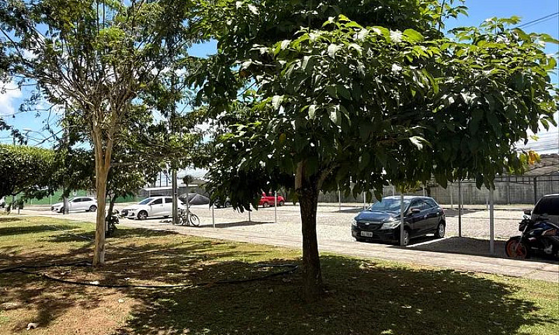 Alugo Apto No Casuar...