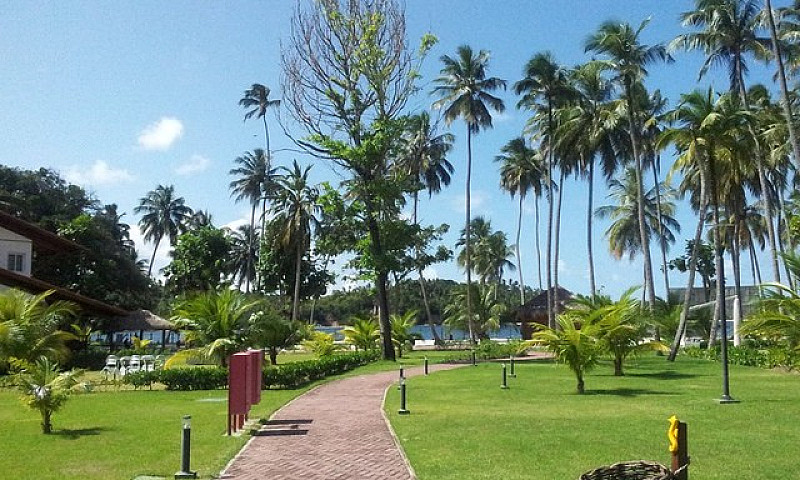 Meridional Carneiros...