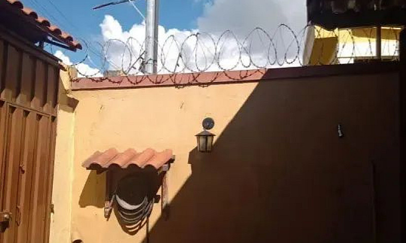 Lírio Do Vale ...