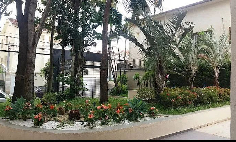 Apto Floresta Sem Fi...