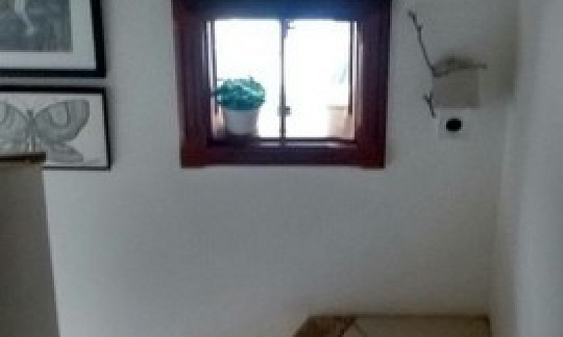 Porto Alegre - Casa ...