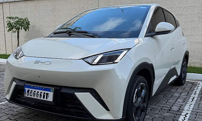Byd Dolphin Mini (El...