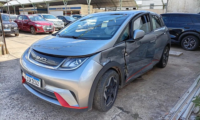 Byd Dolphin Ev (Elét...