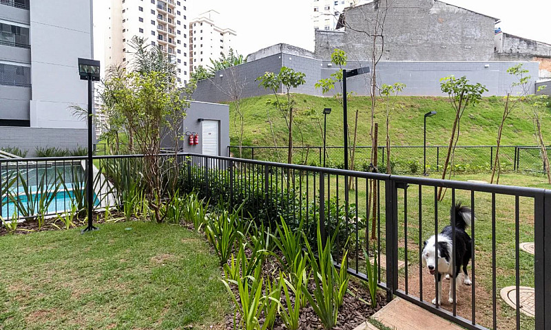 Apartamento Para Ven...