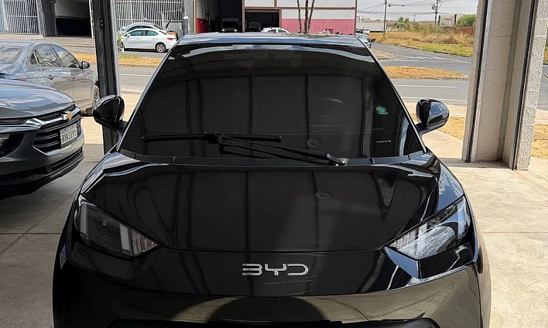 Byd Dolphin Mini (El...
