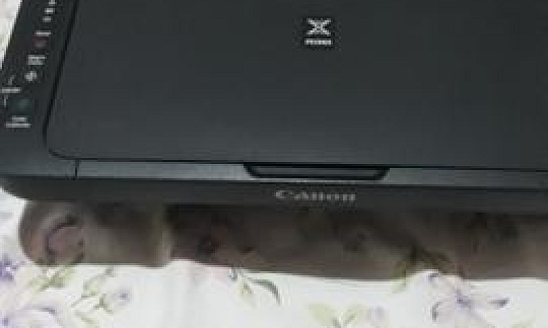 Impressora Canon Via...